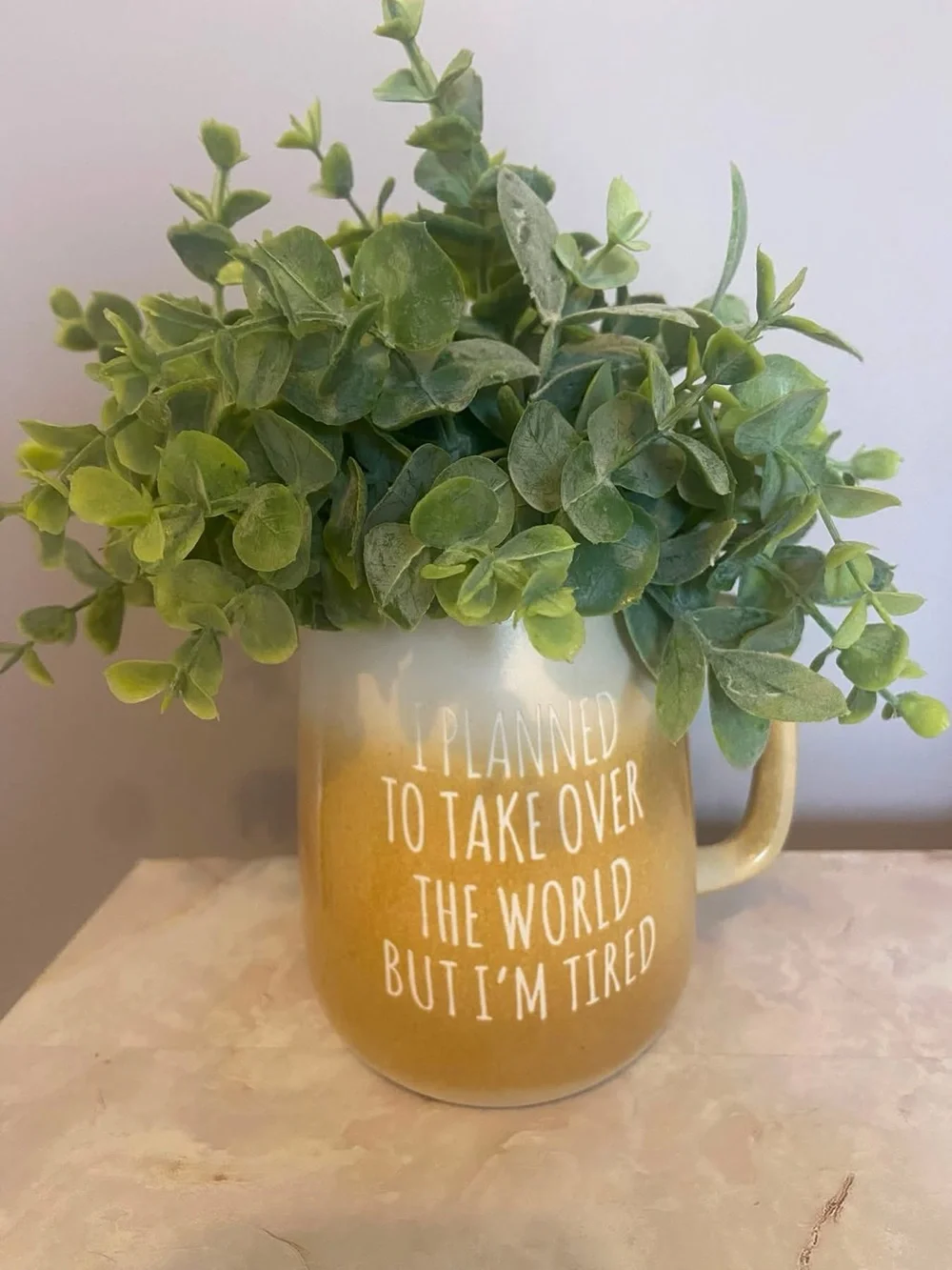 Faux plant in a mug - “I planned to take over the world but I’m tired”